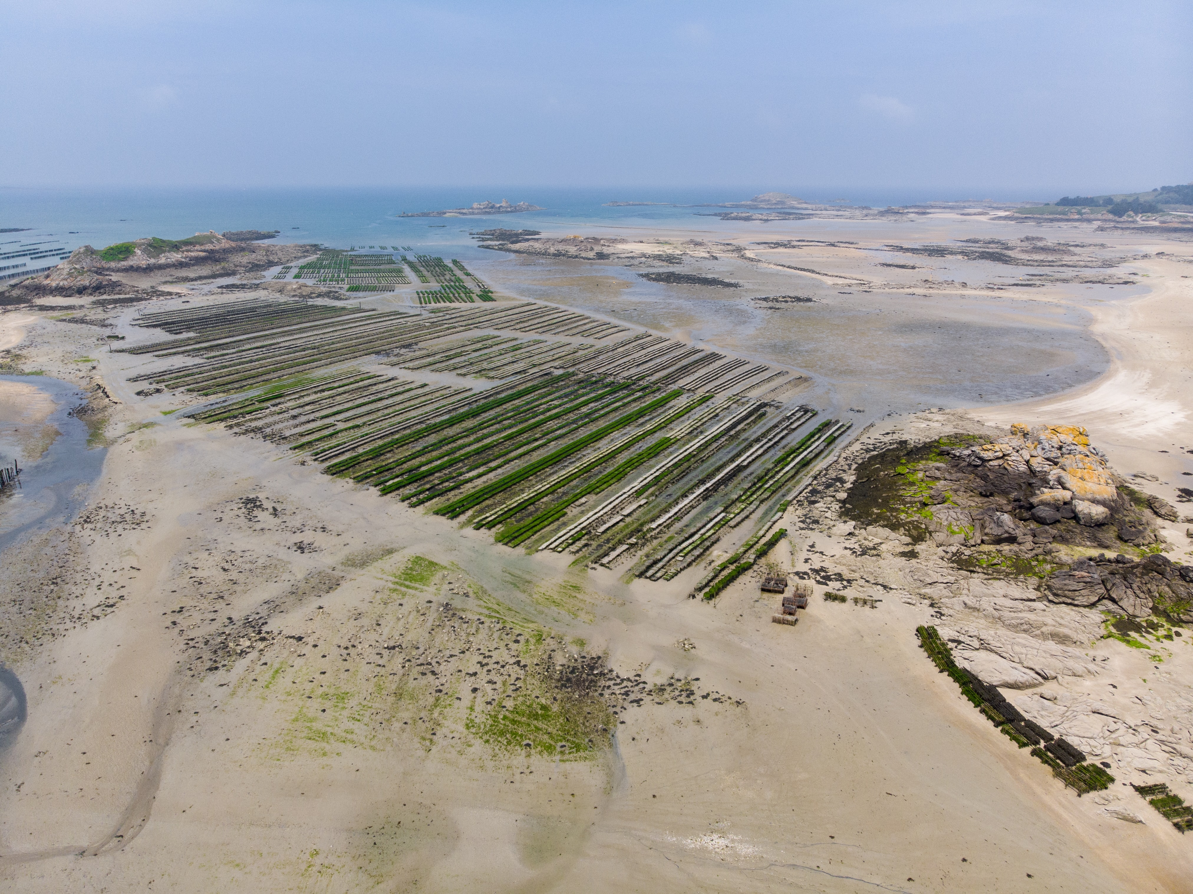 Mussel Farm